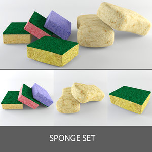 sponge 3d model