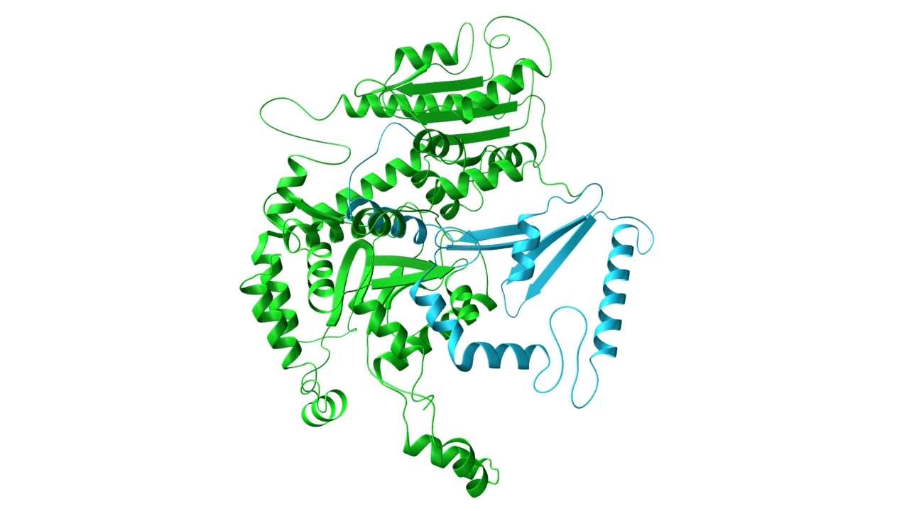 3d model glucose sugar formula