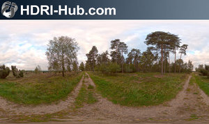 Field Path Cloudy 1