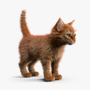 3ds max kitten red