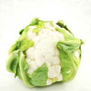 3ds cauliflower leafs