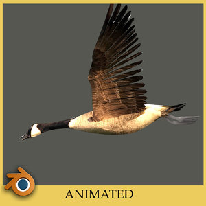 canada goose gorro 3d