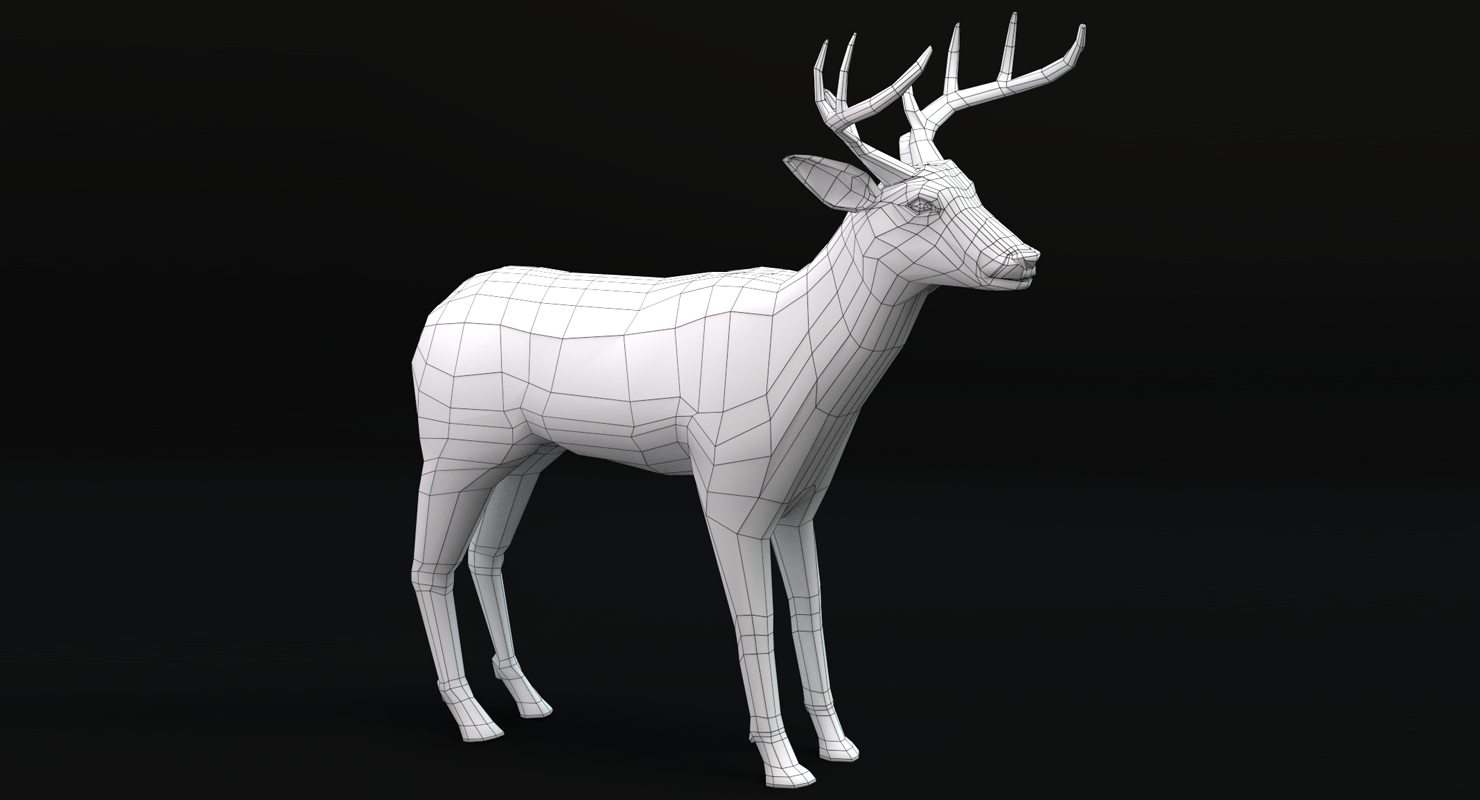 Deer 3d Model   Wireframe F61a4b80 F724 476b A7bb C1ab5d34c310DefaultHQ 