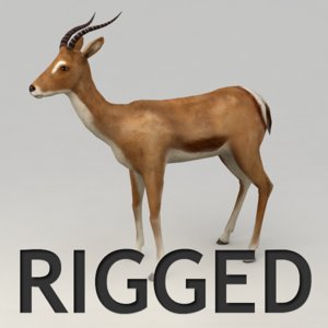 rigged antelope 3d model