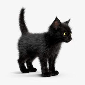 3ds kitten black