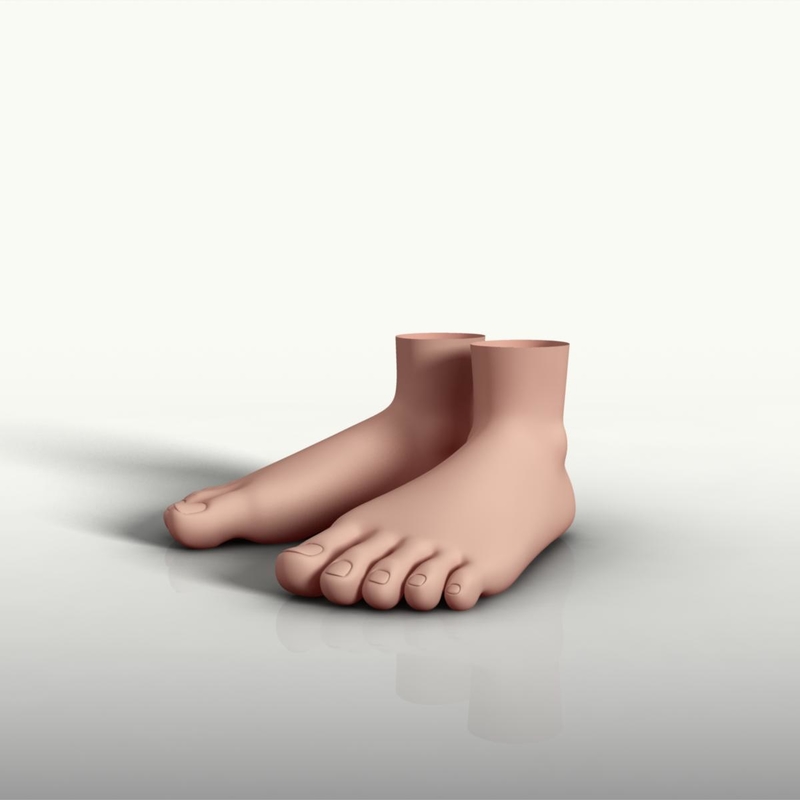 3d model foot