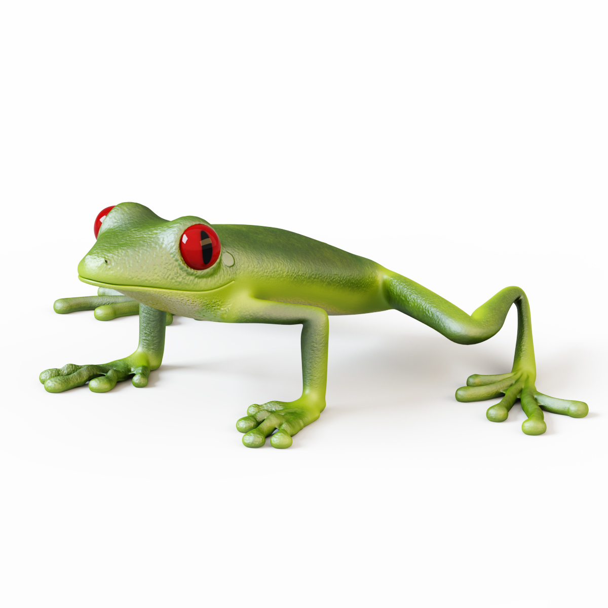 3д модель лягушки. 3d модель Frog. Лягушка 3д модель. Жаба моделька. Жаба 3д.