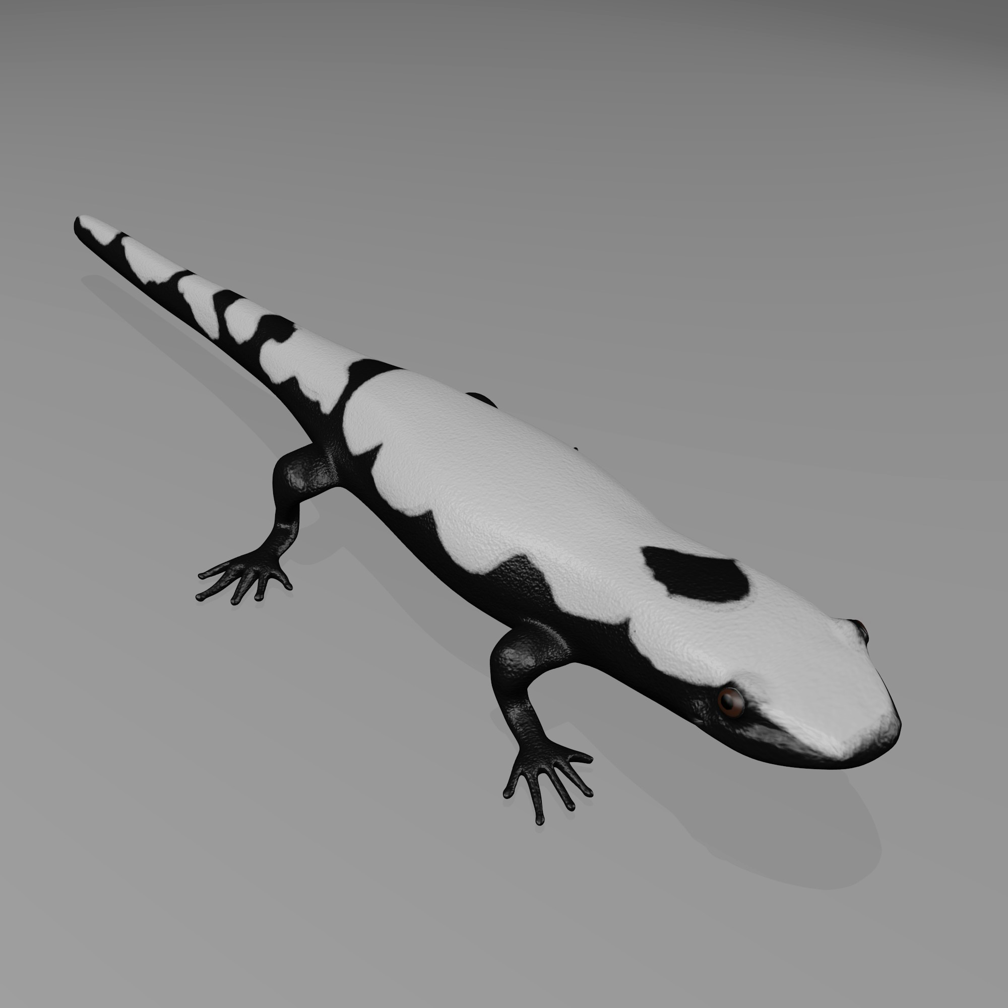 Защелка salamander 2d 3d md13