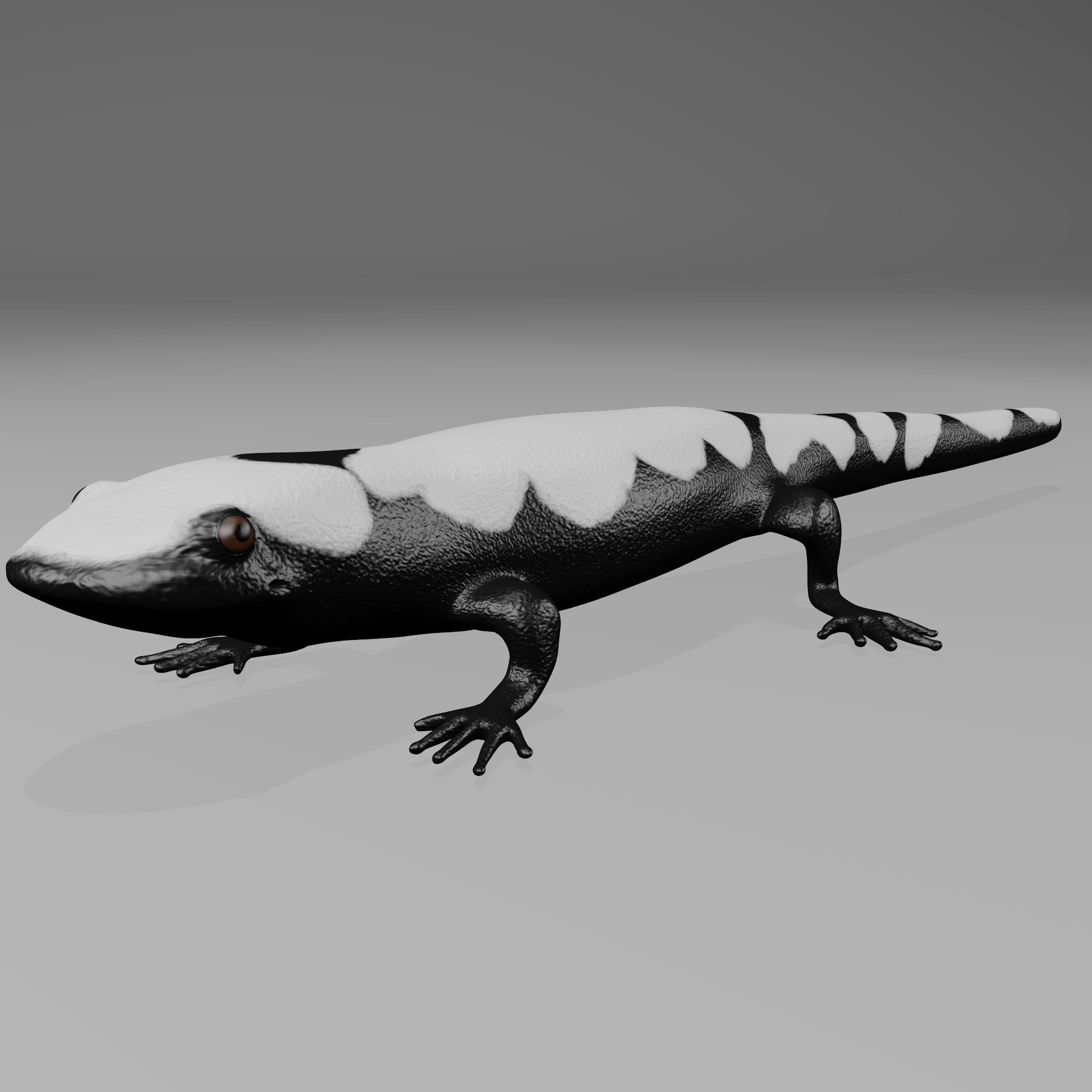 Защелка salamander 2d 3d md13