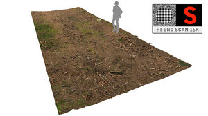 3d litter ground scan model