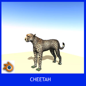 3d cheetah