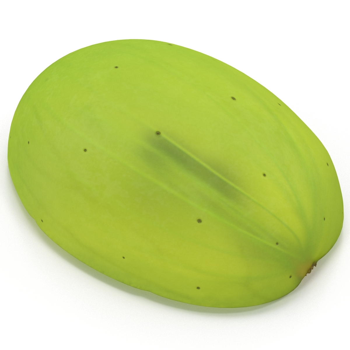 green grape cross section 2