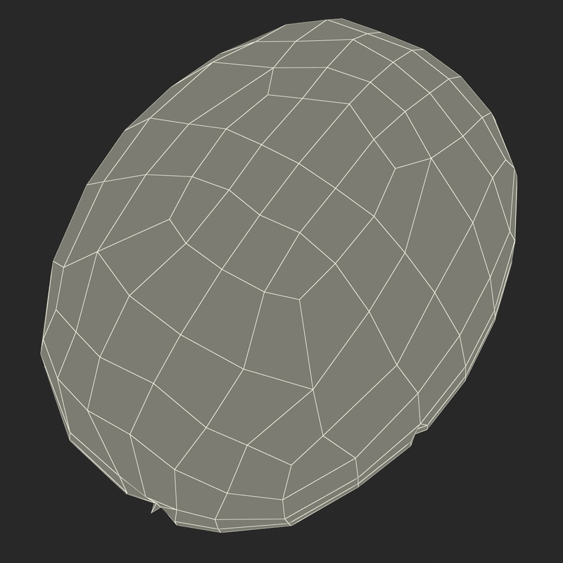 3ds max green grape cross section