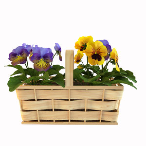 3ds max violets basket
