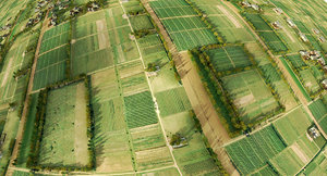 farmland view farm max