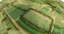 farmland view farm max