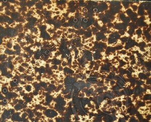 Paper_Texture_0020