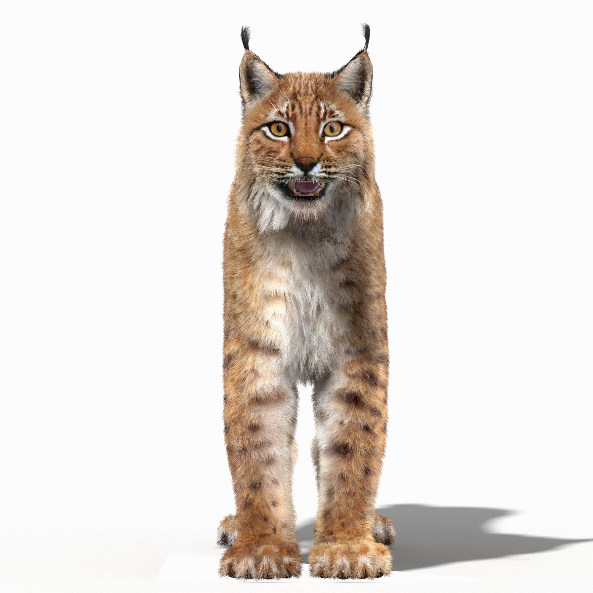 eurasian lynx fur 3d model