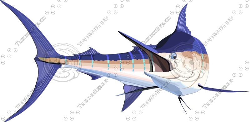 Download Shapes Other marlin Vector blue