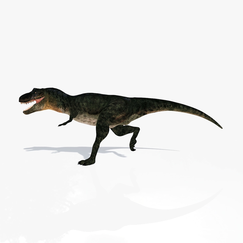 Tyrannosaurus Rex T Rex 3d Model 