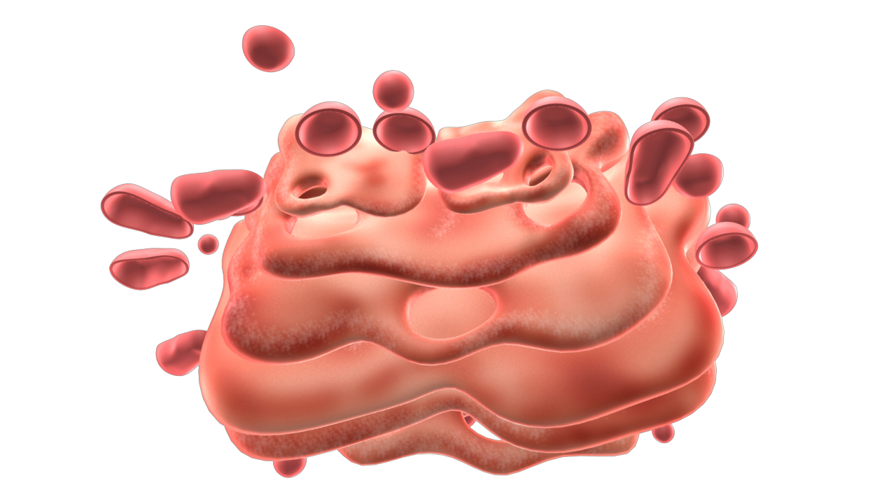 3d-golgi-apparatus-model