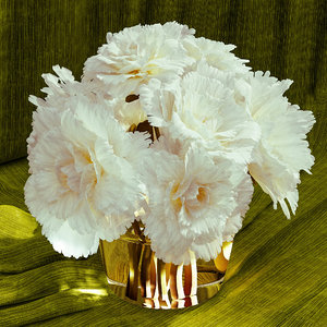 3ds max peonies butterfly glass vase