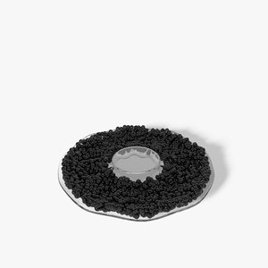 3d model of black caviar