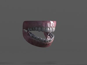 3d model teeth gums