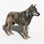 3d gray wolf fur