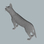3d gray wolf fur