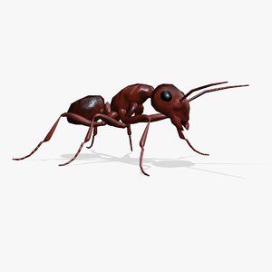 maya ant animation