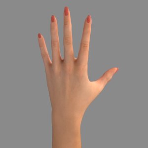 female hand 3d model