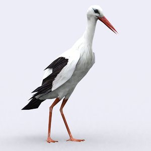 stork 3ds