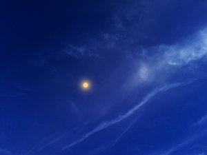 sky_41
