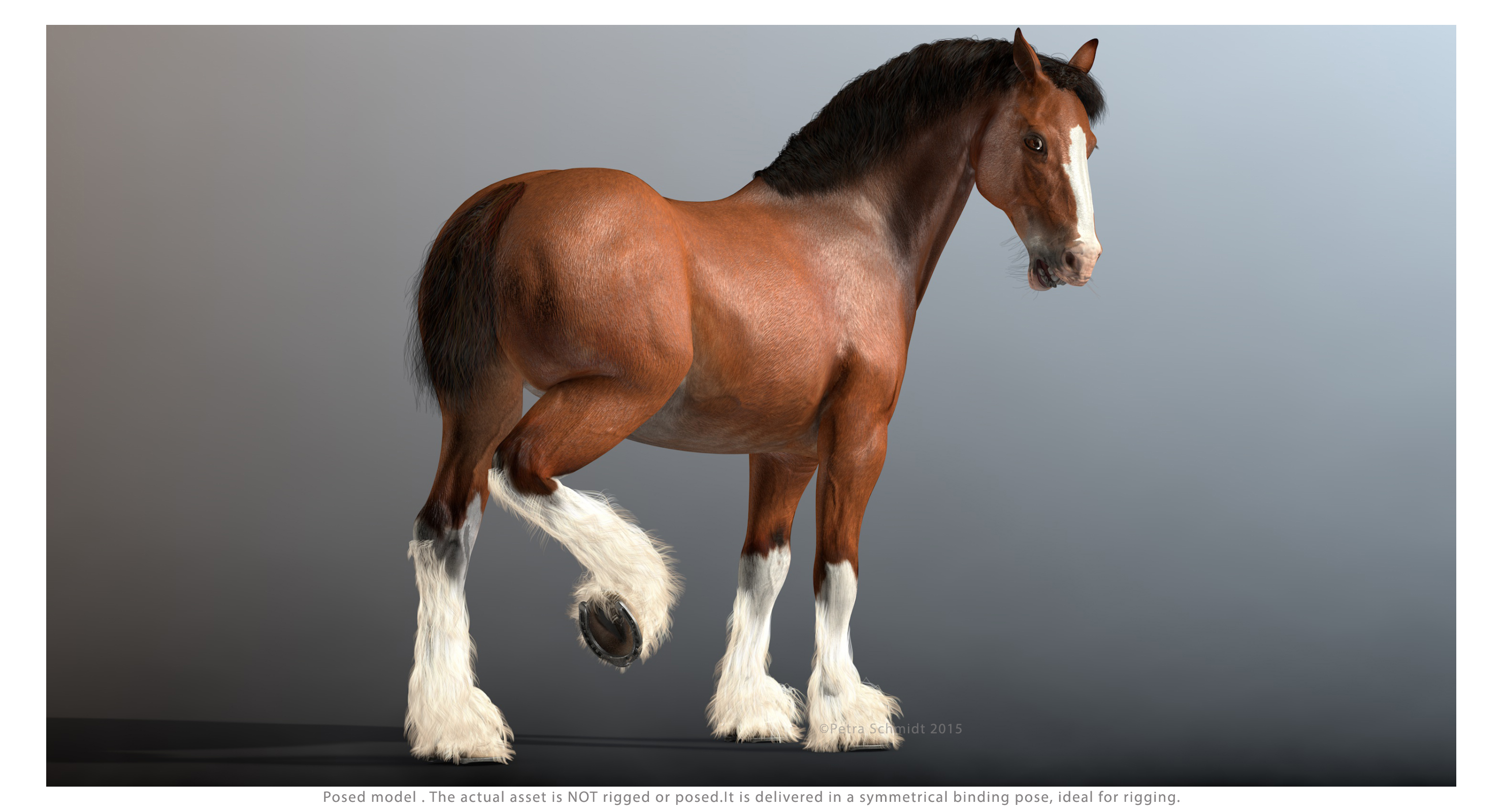 cinema4d clydesdale drafthorses