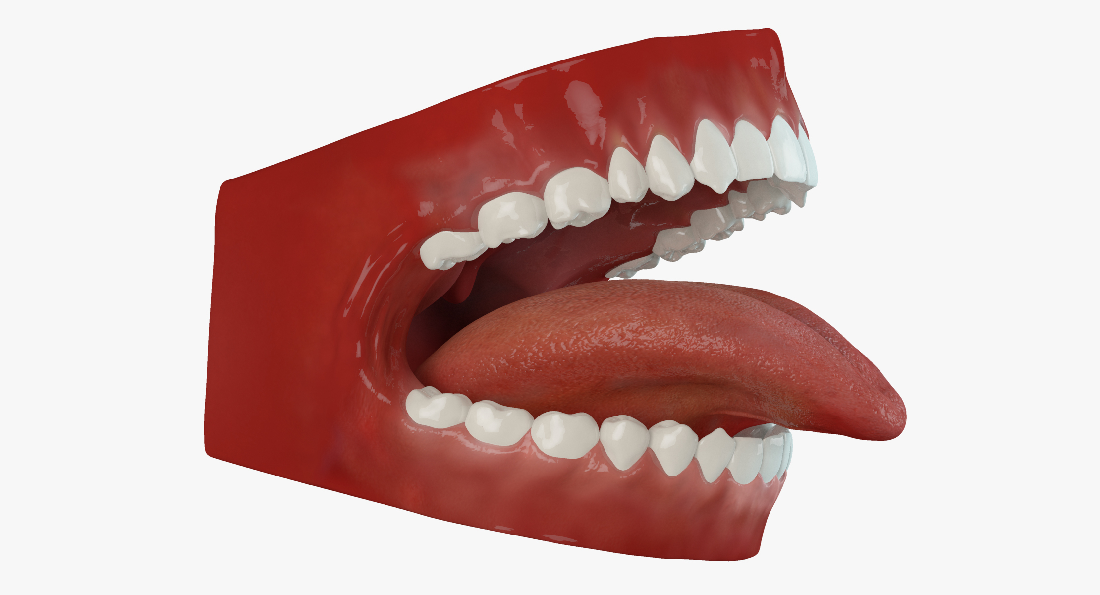 deore m4120 max teeth