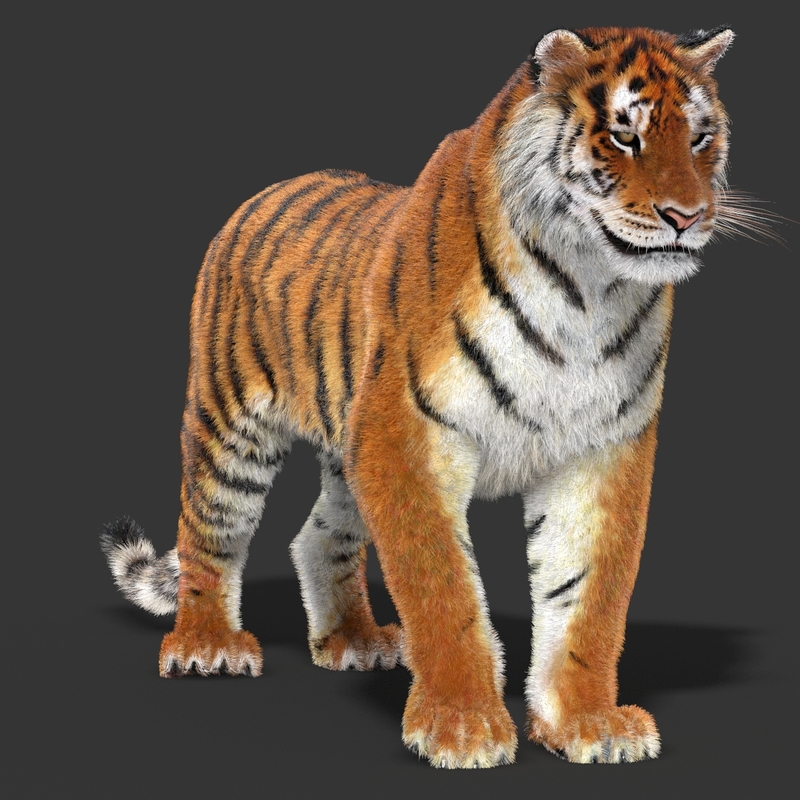 max tiger 4x4 rc