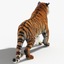 tiger rigged fur cat max
