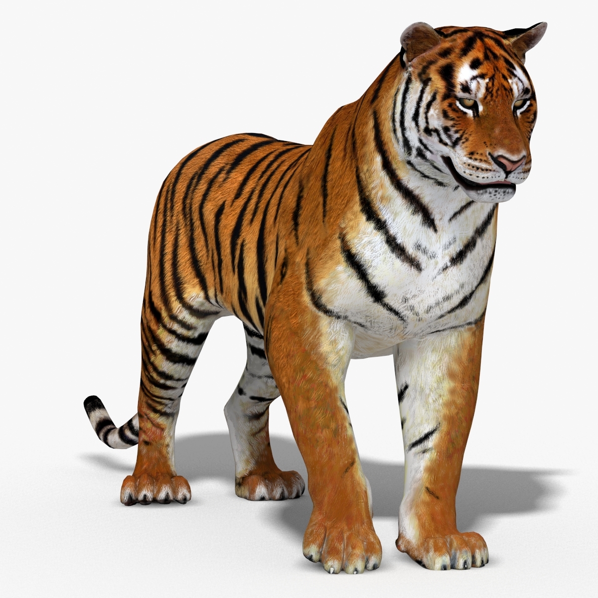 Новые модели тигр. Тигр Макс. Тигр 3д модель. Тигр на 3d принтере. Шерсть тигра 3д.