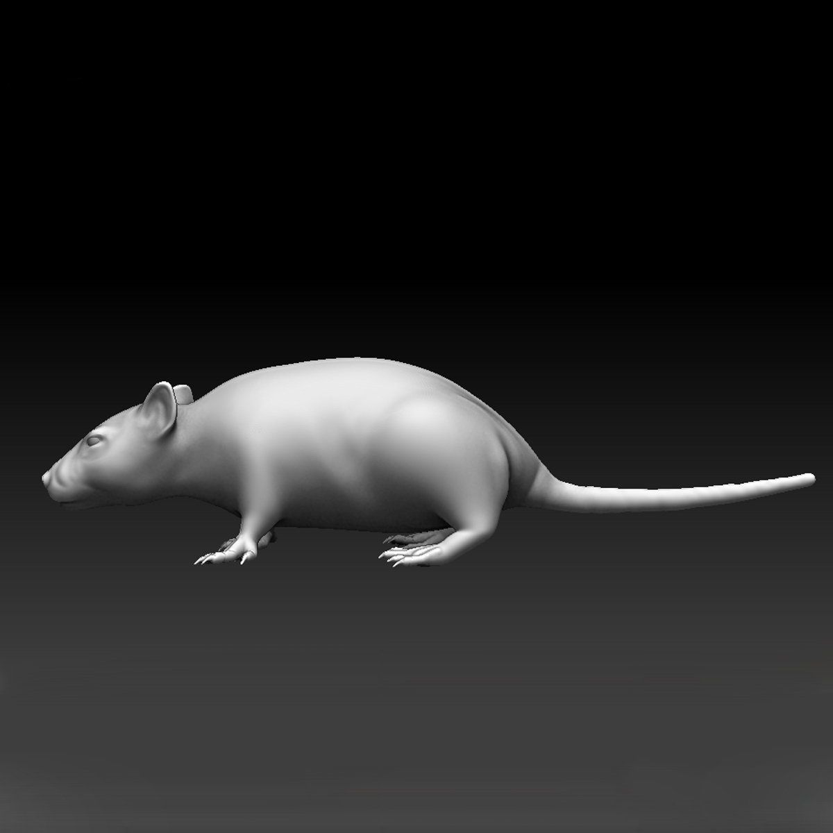 3d high-res sculpted rat model