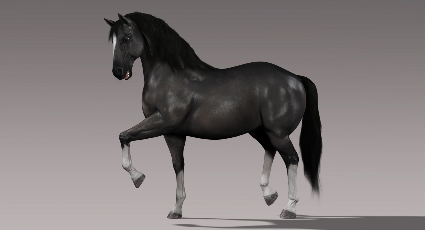 3d model horse black rigged fur https://static.turbosquid.
