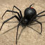black widow spider 3d model