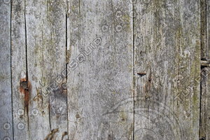 Wood_Texture_0048