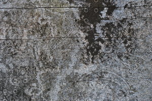 Wood_Texture_0049
