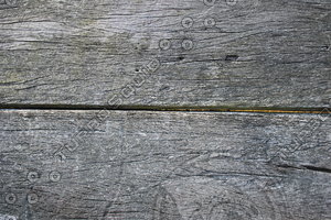 Wood_Texture_0056