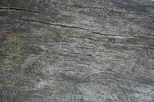 Wood_Texture_0052