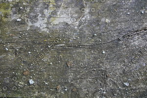 Wood_Texture_0053