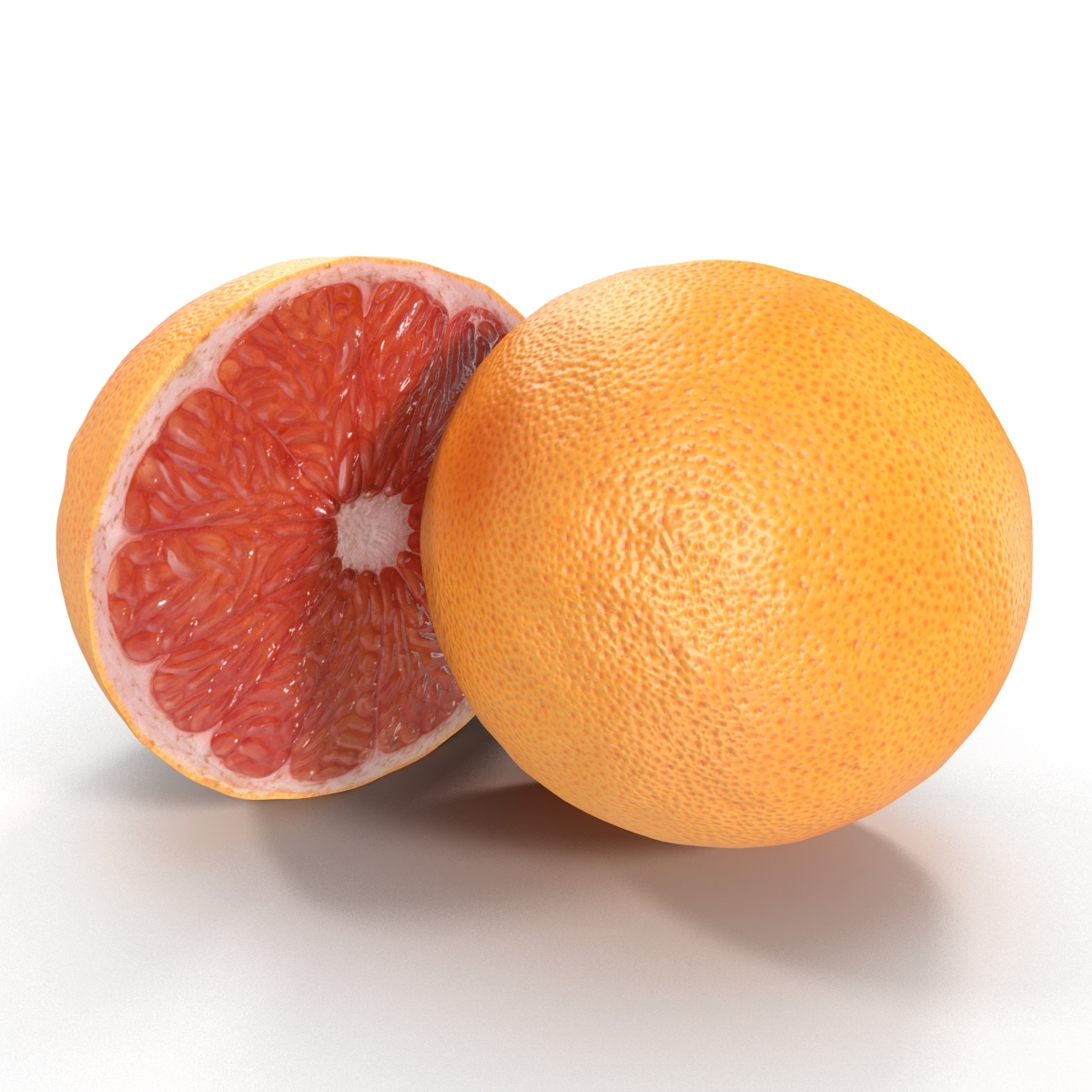 max grapefruit cross section 3