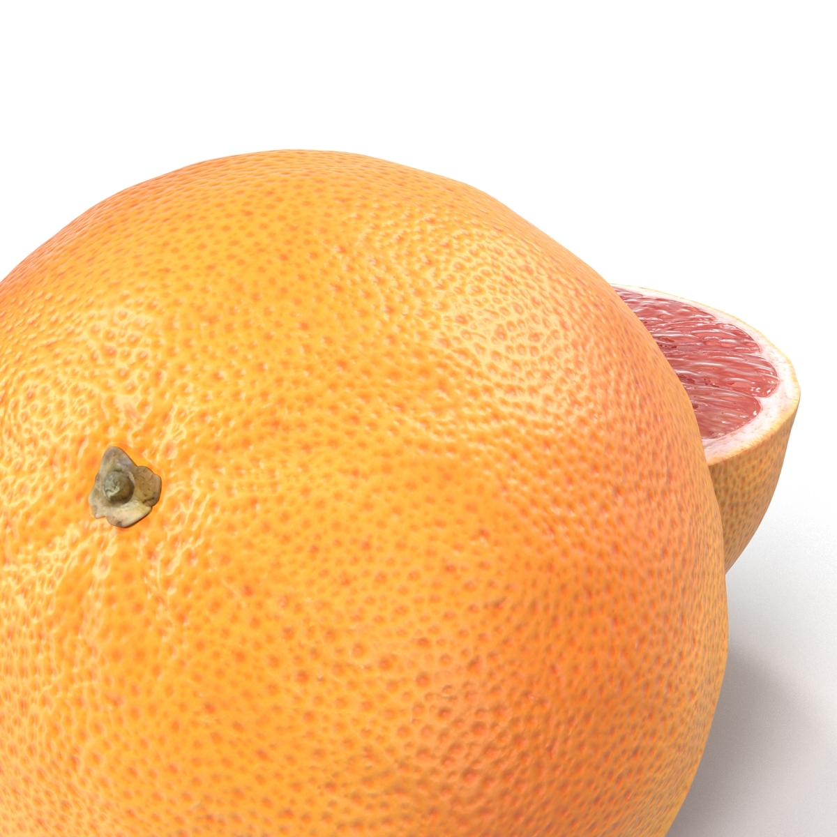 max grapefruit cross section 3