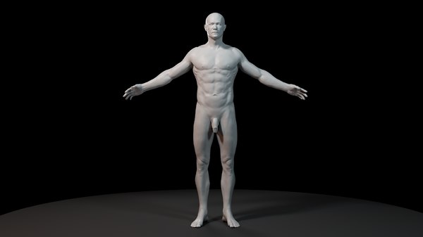 3d max anatomy man